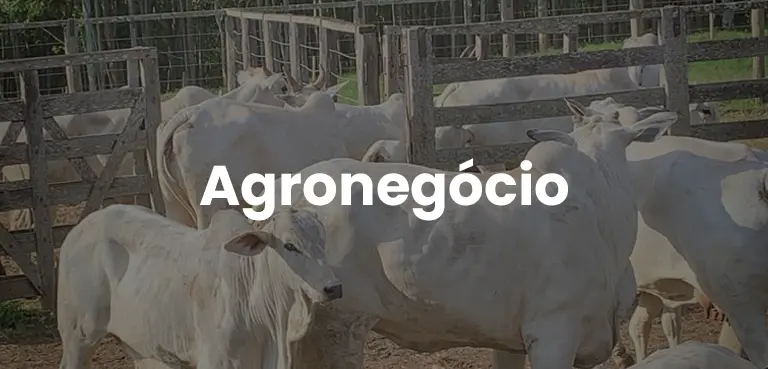 Agronegócio